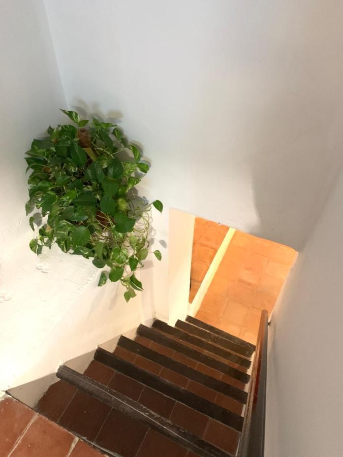 Tinao De Las Alcantaras 兰哈龙 外观 照片